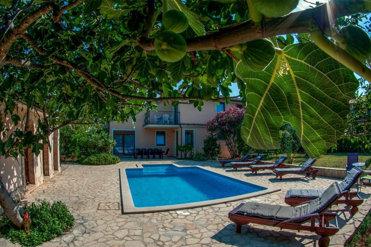 House /Villa Maja Liznjan Bagian luar foto